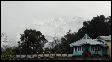 Palampur The Tea Capital of North India: Palampur Introduction to Tea Town