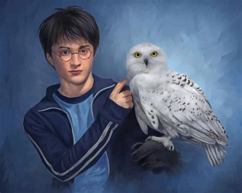 Harry Potter And Companion Hedwig - Paint By Number - Num Paint Kit