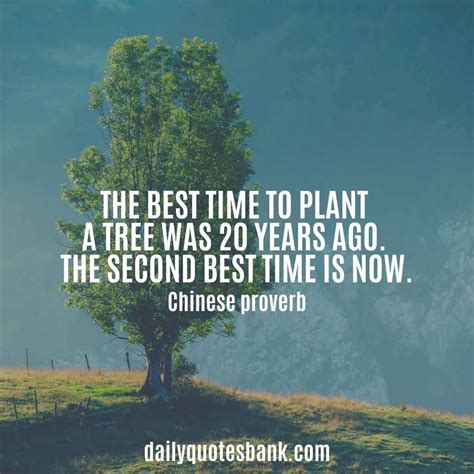 100 Inspirational Quotes About Planting Trees For Future Generations