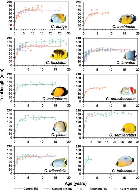 Growth curves for all 10 butterflyfish species for each region. Growth ...