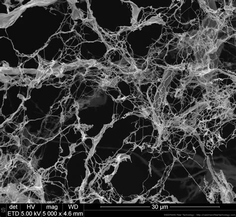 Microfibrillated cellulose: A new material with high potential in the packaging industry ...