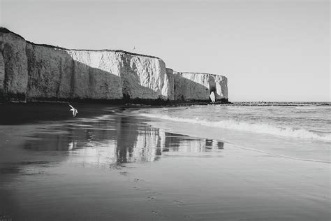 Botany Bay beach and cliffs with gulls, Kent - monochrome Photograph by Sophie Millward Shoults ...