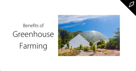 Benefits of Greenhouse Farming