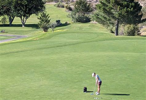 Experience Great Golfing at NMSU Golf Course - LasCruces.com