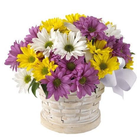 Delightful Daisy Bouquet at Send Flowers