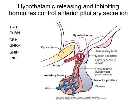 Signalling mechanism of hormones and neuroendocrine