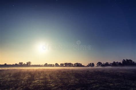 Full Moon, Night View of the Forest Shrouded in Mist Stock Image ...