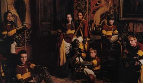 Gryffindor Quidditch Team | Harry/Albus Potter Wiki | Fandom