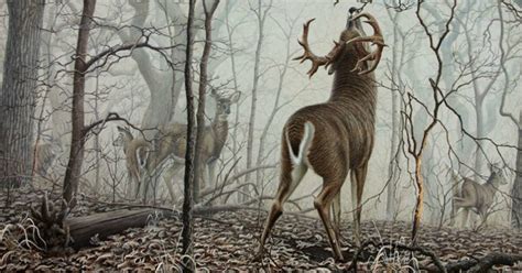 My Favorite Whitetail Painting of All Time | Grand View Outdoors