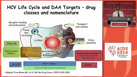 HCV cure: new treatment paradigms for HCV infection - YouTube