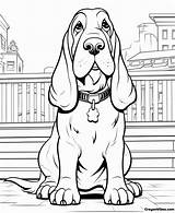 Basset Hound Coloring Pages For Kids And Adults sketch template
