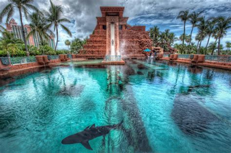 Atlantis Hotel in Dubai's Shark Infested Water Slide | DailyMilk