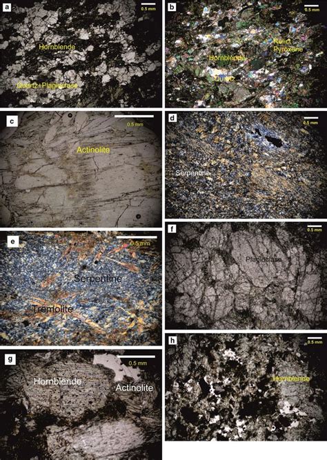 Geochemistry of ultramafic–mafic rocks of Mesoarchean Sargur Group, western Dharwar craton ...