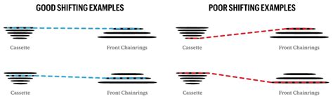 Bike Gears Explained: A Beginners Guide to Shifting