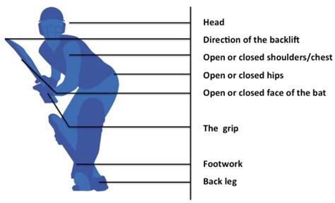 How to Improve Your Batting in Cricket | Top 5 Batting Drills | CricketBio