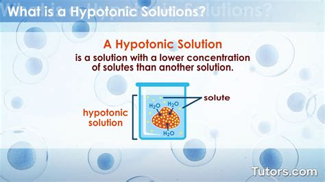 Hypotonic Solution | Definition, Uses, & Examples (Cells)