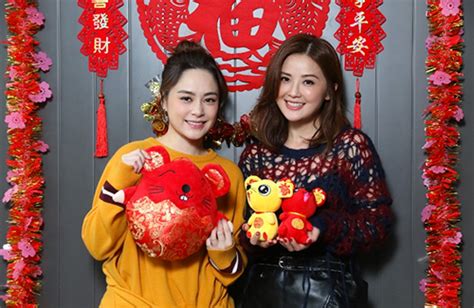 Twins to Star Together in New Chinese Web Drama | Web drama, New chinese, Twins