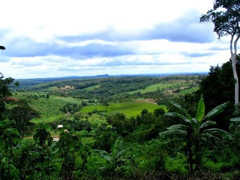 Cambodia Jungle Fever: Ratanakiri, Mondulkiri and Koh Kong