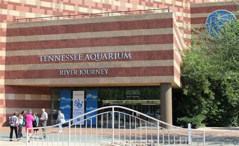 Get Your Feet Wet at the Tennessee Aquarium in Chattanooga - See the South