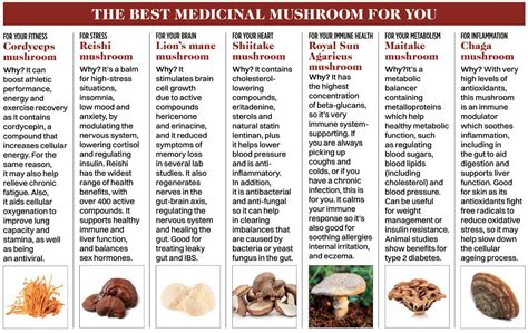 Medicinal mushrooms: 7 types and their health benefits - Women's Fitness