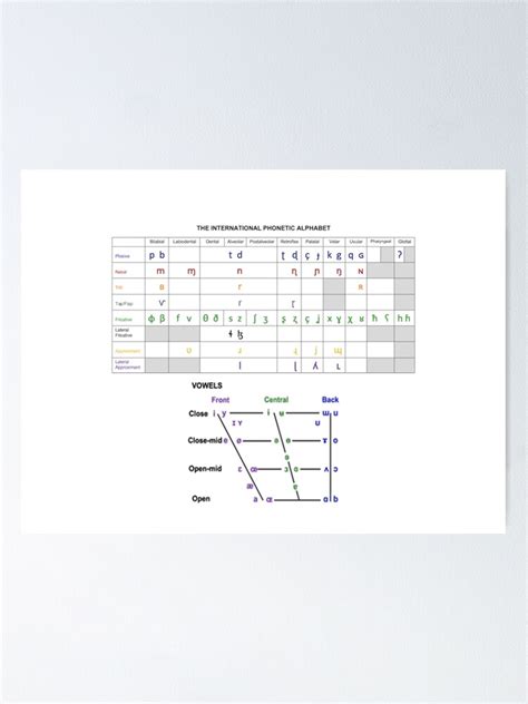 "IPA Consonants & Vowels" Poster for Sale by Bododobird | Redbubble