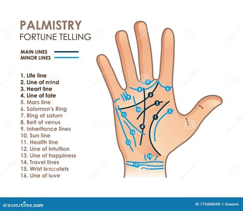 Palmistry Of The Hand Pattern, Black And White Drawing In A Circle On A White Background Royalty ...