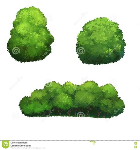 Illustration of a bush stock illustration. Illustration of wood ...