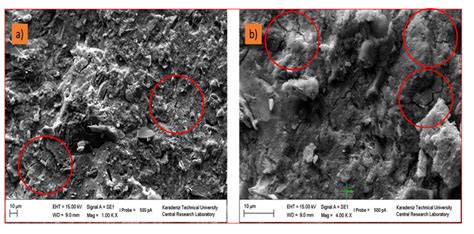 Microstructure images of cement mortar samples | Download Scientific ...