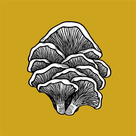 INK STUDIES // #10 (Mushrooms) on Behance