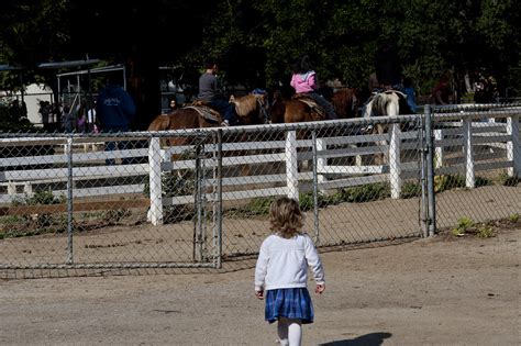 Griffith Park Pony Ride. Train ride | Griffith Park 2012.02.… | Flickr