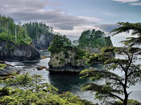 Top 14 Places to Visit on Washington’s Olympic Peninsula – Trips To Discover