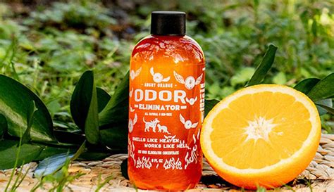 Amazon: Highly-Rated Angry Orange Pet Odor Eliminator Only $16