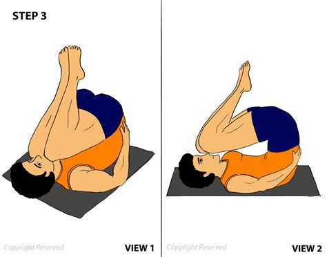 Sarvangasana, Steps ,Benefits, Precautions, Contraindications