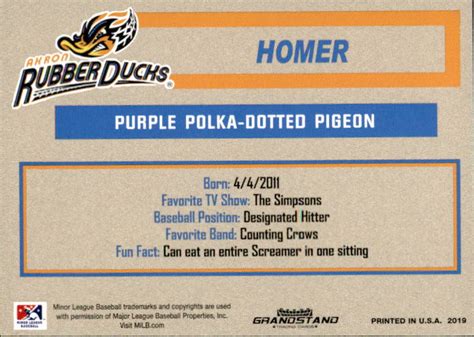 2019 Akron RubberDucks Grandstand #35 Homer MASCOT - NM