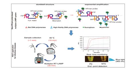 Fast Multiplex Real-time PCR Assay For Simultaneous, 59% OFF