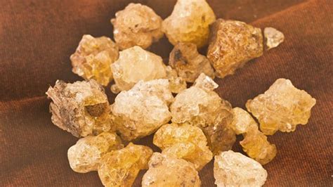 7 Uses for Acacia | Gum health, Health, Gum arabic