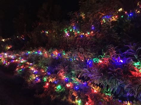 Christmas and New Year Lights Decorations at Night in Princeville in ...