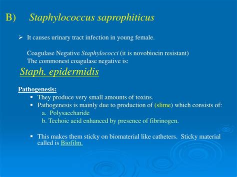 PPT - STAPHYLOCOCCI PowerPoint Presentation, free download - ID:618177