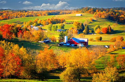 Ohio Amish Country by Mary Timman | Amish country ohio, Amish country, Autumn scenes