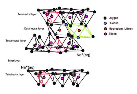 2: Schematic representation of fluorinated Na-hectorite structure. | Download Scientific Diagram