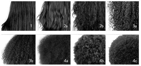 The Curly Girl Hair Guide Know Your Curl Pattern - My African American Hair | Hair type chart ...