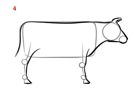 Cow Drawing Ideas » How to draw a Cow Step by Step