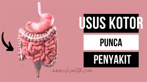 Kesan USUS Kotor Membawa Kepada Banyak Penyakit | Ohcantik.com