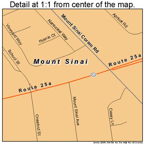 Mount Sinai New York Street Map 3649066