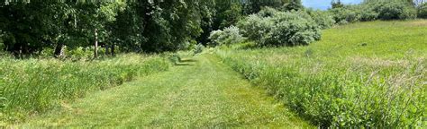 Fredon Township Nature Trail, New Jersey - 40 Reviews, Map | AllTrails