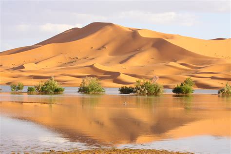 File:Landscape dunes.JPG - Wikimedia Commons