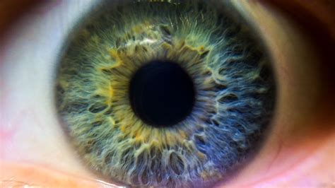 Two patients regain vision damaged by AMD after stem cell treatment ...