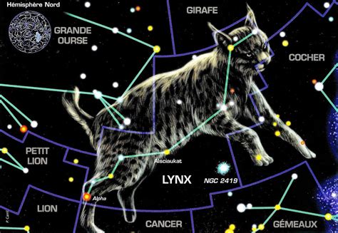 Lynx (constellation) | Arcus Wiki | Fandom