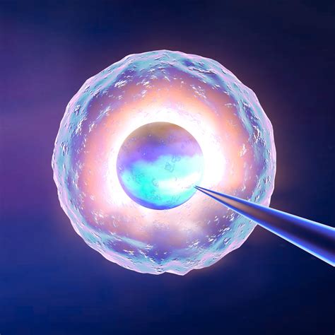 Stem cell therapy - gmtp.gr