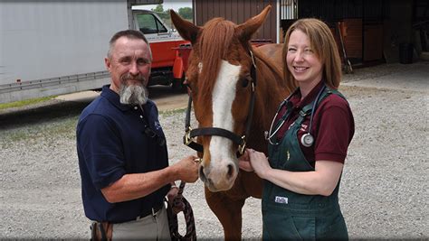 The Veterinary Staff at Cornerstone Animal Hospital